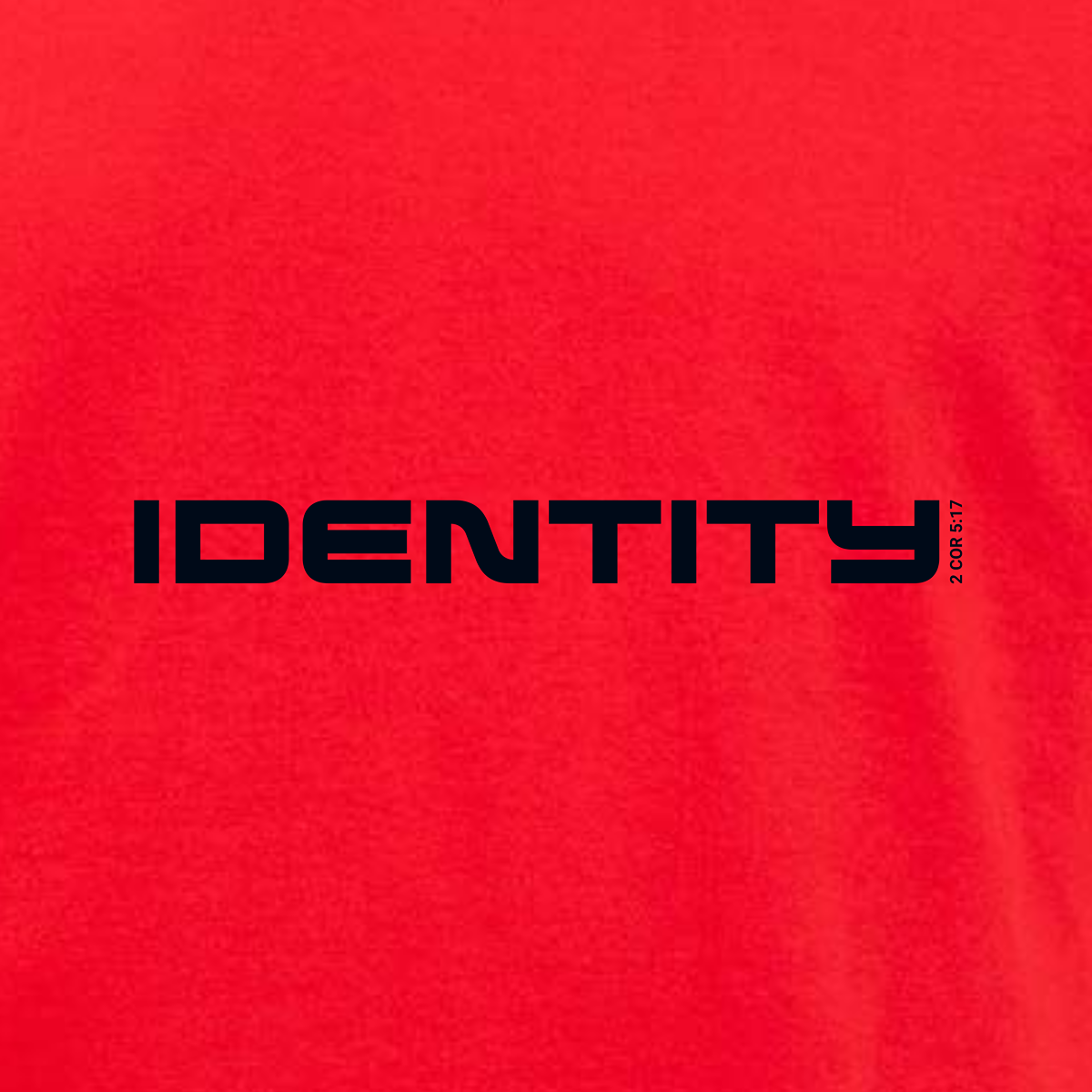 IDENTITY Mens Basics T