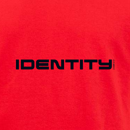 IDENTITY Mens Basics T