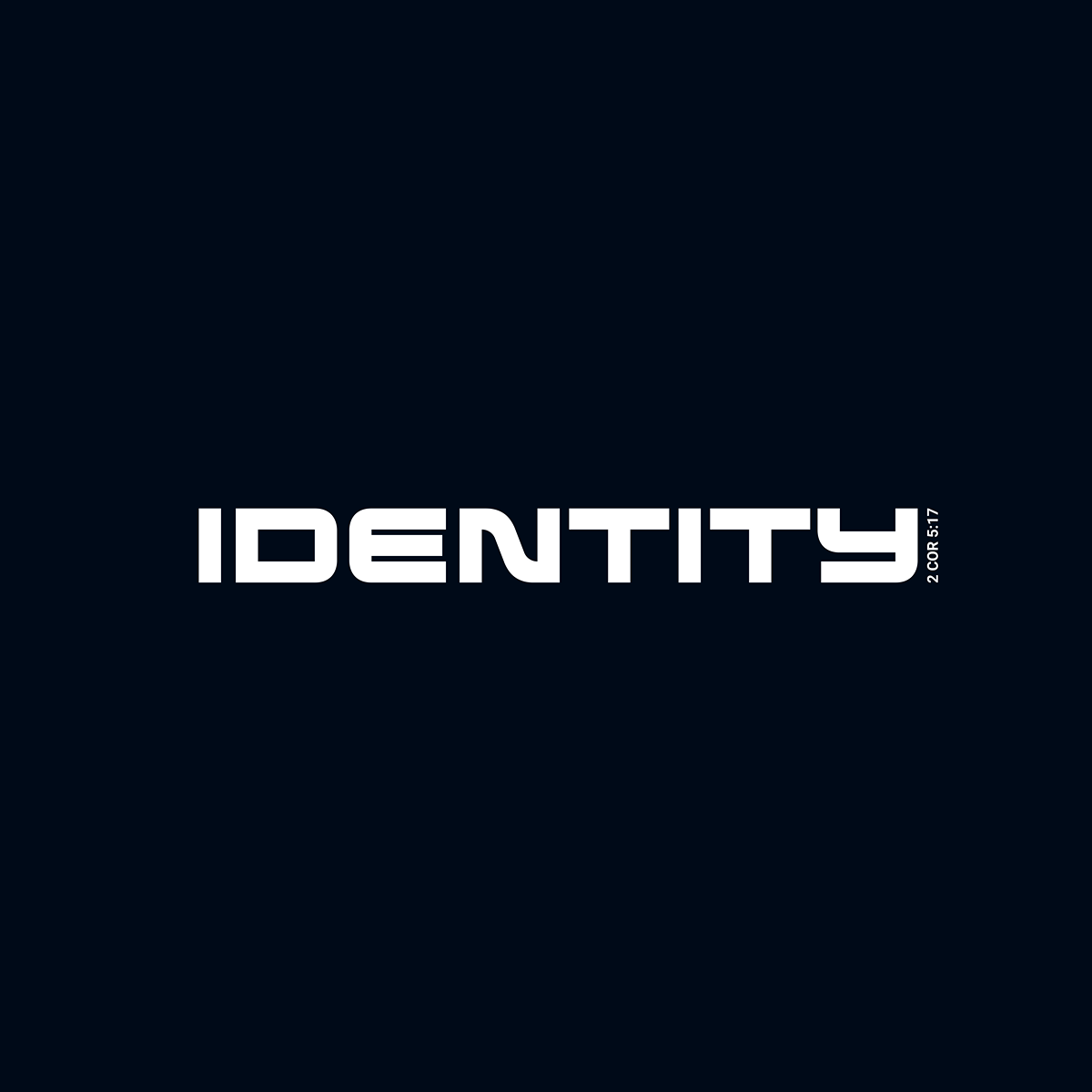 IDENTITY Mens Basics T