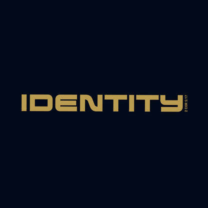 IDENTITY Mens Basics T